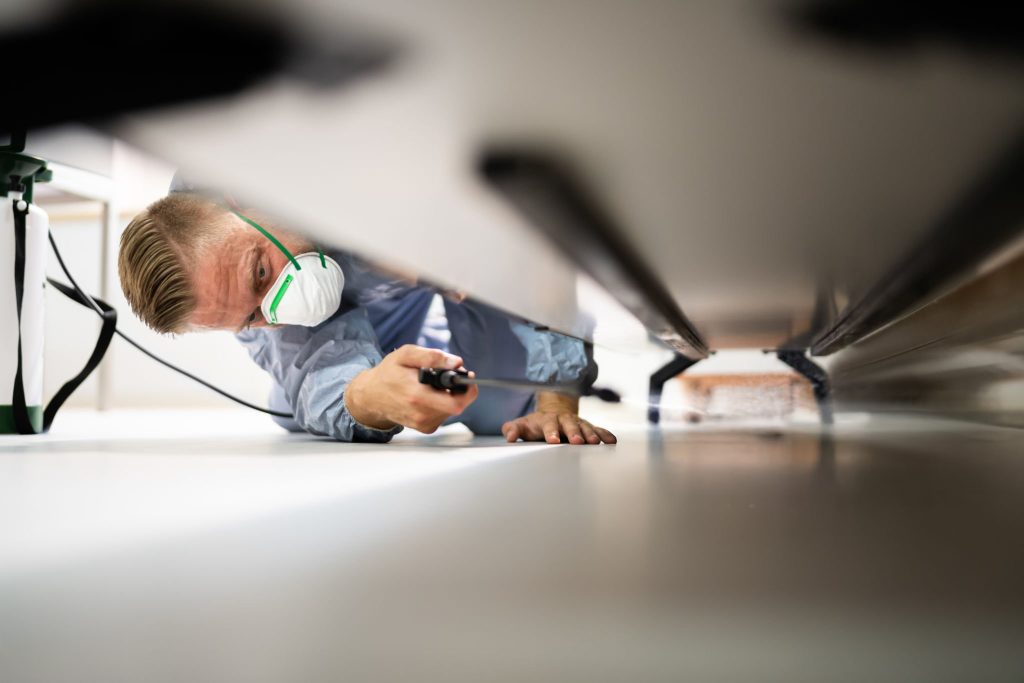 Pest Control Exterminator Services Spraying Cockroach Insecticide