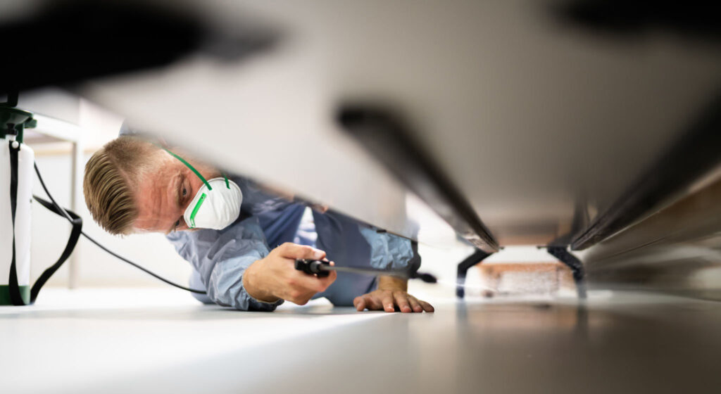 Pest Control Exterminator Services Spraying Cockroach Insecticide