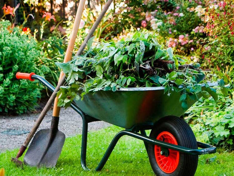 5 reasons why landscaping is important for your business