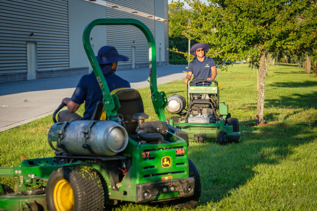 Landscaping And Seasonal Services