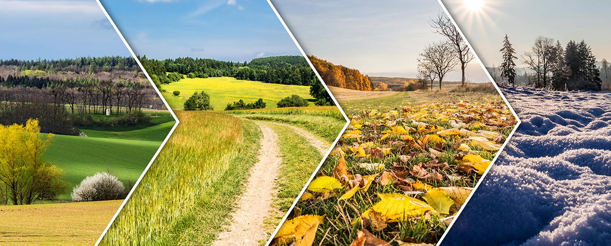 Seasonal Considerations for Facility Managers