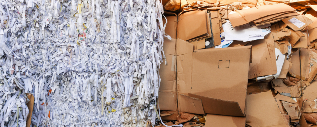 How Business Synergies Transcend Client-Vendor Boundaries with International Paper