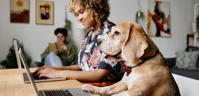 Meow! Ruff! Bark! Is Bringing Fido and Kitty to Work Too Much to Handle?